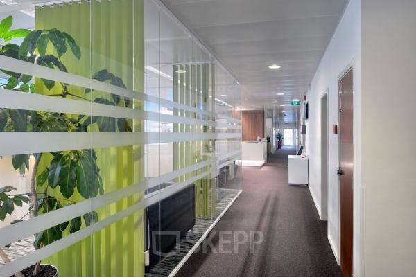 Bright and modern hallway in an office available for rent at Lange Lozanastraat 142, Antwerp Center, featuring sleek glass partitions and a vibrant plant.