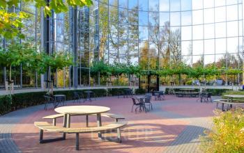 Rent office space Landdrostlaan 51, Apeldoorn (3)