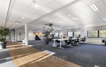 Bright office interior at Waterloseweg 7a, Apeldoorn featuring an open floor plan with ample natural light, modern workstations, and indoor plants. Ideal office space rental opportunity for business professionals.