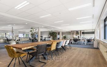 Spacious office to rent featuring a large wooden table with diverse seating, abundant natural light, and modern decor in Apeldoorn, ideal for collaborative work and meetings.