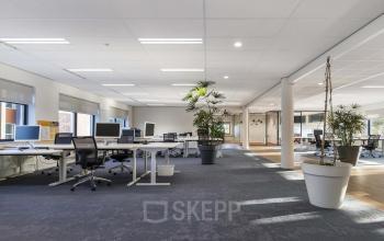 Spacious open floorplan office at Waterloseweg 7a, Apeldoorn, featuring modern workspaces with desks, chairs, and computer monitors. Natural light floods the room, complemented by potted plants, ideal for office space rental.