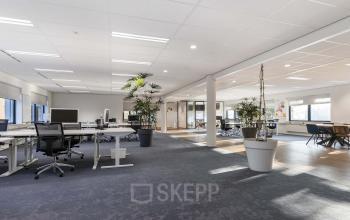 Spacious office featuring modern workspaces with ample natural light, located at Waterloseweg 7a, Apeldoorn. Ideal for office space rental, equipped with desks, chairs, and potted plants for a refreshing environment.