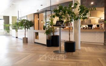 Modern reception area at Schumanpark 9, Apeldoorn with plants and a welcoming desk, ideal for those looking to rent office space in a stylish environment.