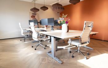 Bright office space at Schumanpark 9, Apeldoorn, featuring modern desks and chairs with a vibrant vase of flowers. Ideal for office space rental.
