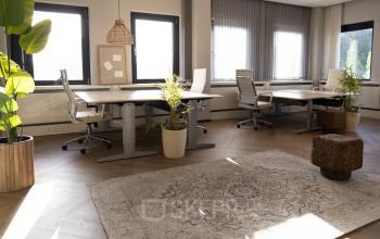 Furnished office space rental at Schumanpark 9 in Apeldoorn featuring modern desks, chairs, and plants, ideal for productivity.