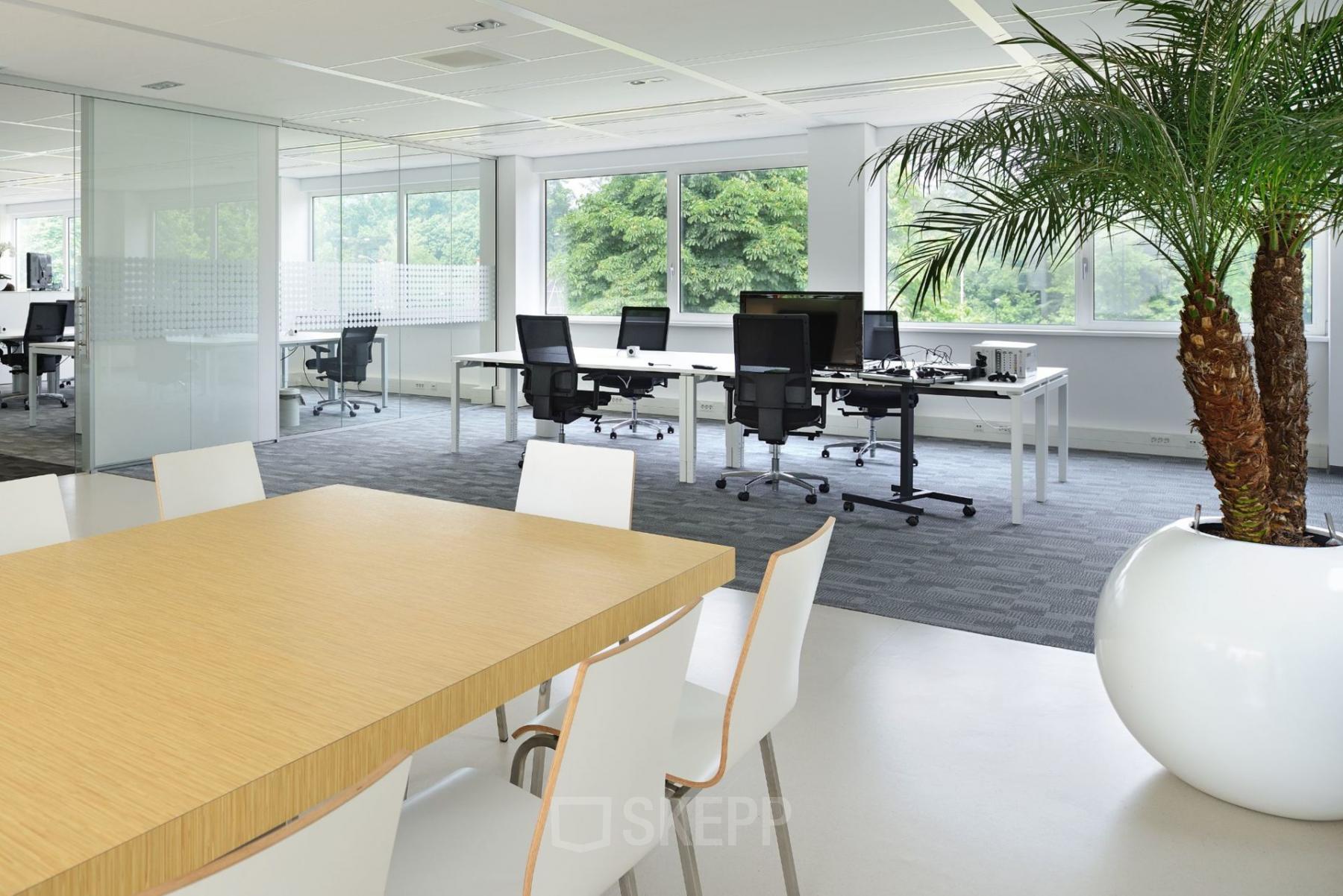 Modern office interior at Laan van Malkenschoten 40, Apeldoorn, featuring large windows, workstations, and a meeting table with white chairs.