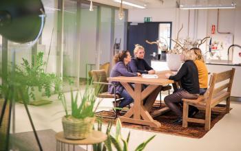 Collaborative meeting in a furnished office space at Roggestraat 111, Apeldoorn. Featuring a wooden table with plants and modern decor, ideal for office space rental.