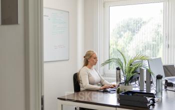 A professional working at a desk in an office to rent at Vlamoven 34, Arnhem IJsseloord, with natural light from large windows and a comfortable setup.