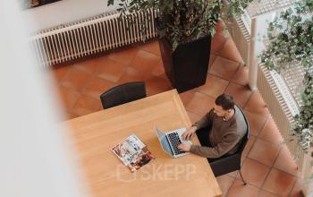 Bright workspace at Vlamoven 34, Arnhem IJsseloord, featuring a person working at a wooden desk surrounded by greenery and art. Ideal office space rental location.
