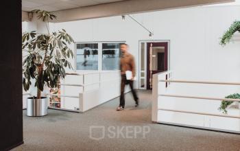 A hallway in an Arnhem IJsseloord office with a person walking, surrounded by greenery.