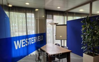 Modern conference room with a wooden table, blue partitions, a large potted plant, and a flip chart at Meester D.U. Stikkerstraat 11, Arnhem Zuid, Arnhem, ideal for office space rental.