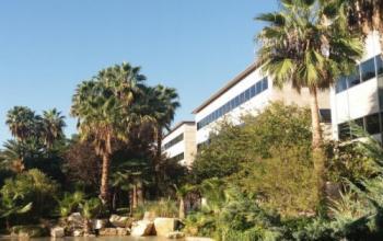 Oficinas hermosas disponibles para el alquiler en Cityparc Cornella