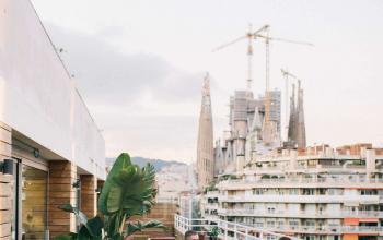Alquilar oficinas Carrer de Sardenya 229, Barcelona (5)