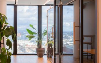 Moderne Bürofläche mieten in Basel Altstadt Kleinbasel, Messeplatz 10, mit großer Fensterfront und weitem Stadtblick, Pflanzen dekorieren den Raum. Ideal für kreatives Arbeiten.