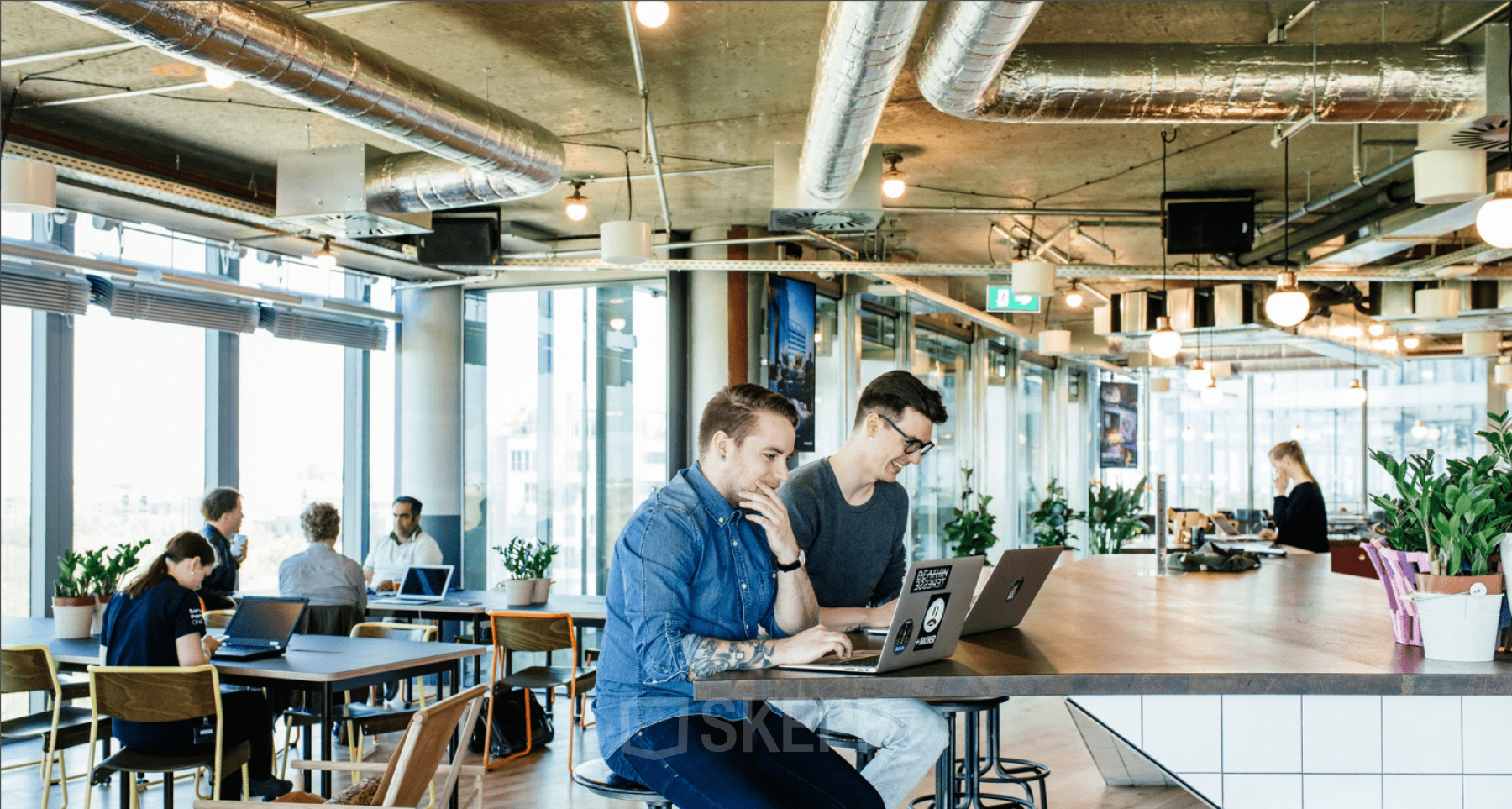 Arbeitsplätze im offenen Gemeinschaftsbereich in freundlicher Atmosphäre