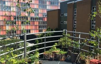 Außenansicht eines Balkons mit Pflanzen in Töpfen, umgeben von urbanen Gebäuden in Berlin Kreuzberg.