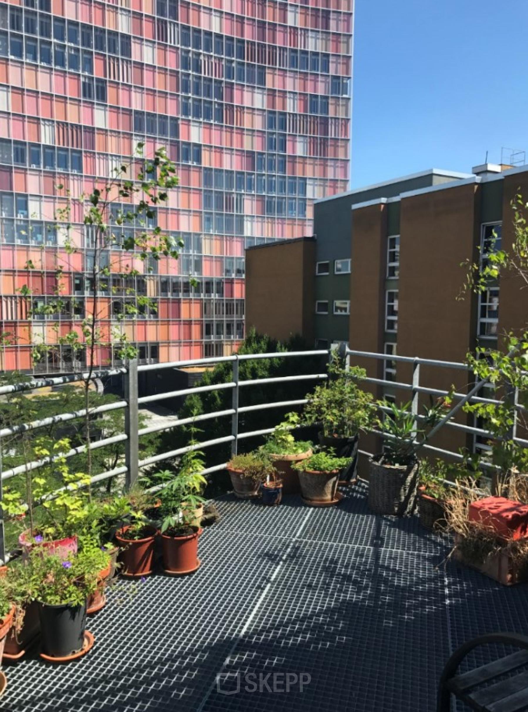 Außenansicht eines Balkons mit Pflanzen in Töpfen, umgeben von urbanen Gebäuden in Berlin Kreuzberg.