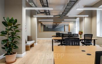 Modernes Büro in der Chausseestraße 29, Berlin Kreuzberg mit Holzböden, Schreibtischen und stilvollen Pflanzen. Perfekt für büroraum mieten in kreativer Umgebung.