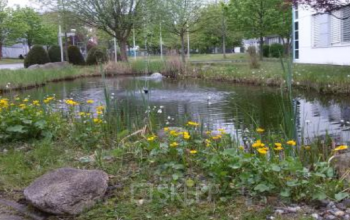 Idyllischer Business Park mit Büros zur Miete in Berlin-Marzahn