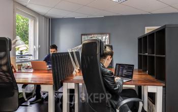 Zwei Personen arbeiten konzentriert an Laptops in einem modernen Büroraum mit hölzernem Tisch in An der Kolonnade 11, Berlin Mitte. Ideal, um Büroraum zu mieten.