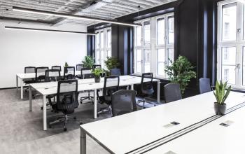 Coworking-Bereich mit mit vielen Arbeitsplätzen und Zimmerpflanzen