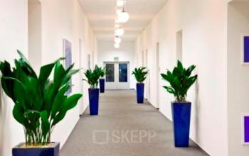 Langer Flur mit Büros zur Miete in Berlin