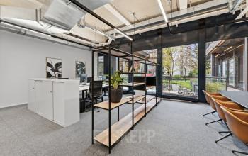 Modernes Büro in Bern, Weltpoststrasse 5, mit großem Fenster, Pflanzen und stilvollen Möbeln. Ideale Büroumgebung für Arbeitsplätze. Perfekt, um Büroraum zu mieten.