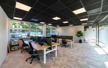 Modern office space rental at De Maas 8, Best, featuring stylish workstations, ample natural light, and greenery in a contemporary setting. Ideal for collaborative work in a vibrant business environment.