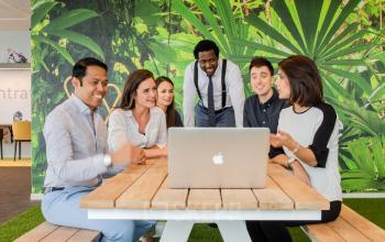 Group of business professionals collaborating at a wooden table with a laptop in a vibrant, green-themed office space.