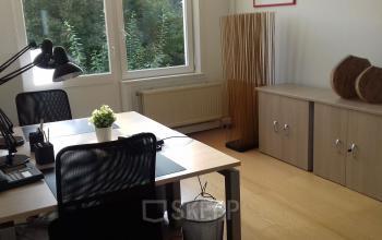 Rent office space at Louizalaan / Avenue Louise 367, Brussels Elsene. Natural light floods a cozy office with modern workspaces, including desks, chairs, and storage furniture.