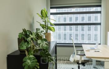 Bright office space at Rietbaan 40-42 in Capelle aan den IJssel featuring modern furnishings, large window, and workspace plants. Ideal for office space rental with ample natural light for productivity.