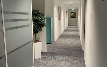 Modern corridor in Stationsplein 91, Den Bosch office space rental with glass doors, pot plant, and carpeted floor.