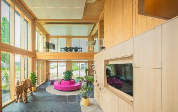 Spacious, modern office space rental at Hambakenwetering 1-kr, Den Bosch. Features large windows, stylish wooden interior, vibrant pink seating, and a decorative horse sculpture, ideal for fostering creativity and collaboration.