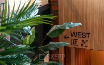 Interior view of Hambakenwetering 5 in Den Bosch, featuring a wooden wall with directional signage and lush green plants, ideal for office space rental.