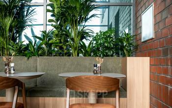 Interior office space in Den Bosch with tables, chairs, and greenery, ideal for office space rental.
