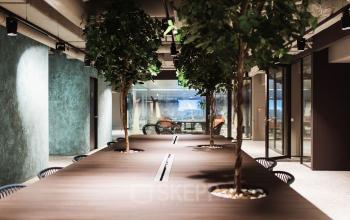 Modern office space at Anna van Buerenplein 41, The Hague Center, featuring long wooden tables and indoor trees, ideal for office space rental.
