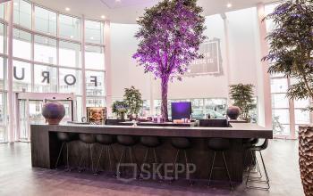 Spacious and well-lit reception area of office space rental at Kalvermarkt 53, The Hague Center, with modern furnishings and a purple tree centerpiece.
