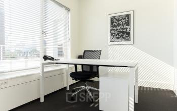 Bright office space for rent at Bezuidenhoutseweg 161, The Hague Haagse Hout, featuring a desk with a chair and wall art.