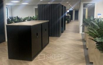 Interior view of an office to rent in The Hague Statenkwartier at Johan de Wittlaan 3-7, featuring a hallway with modern decor and numerous plants.