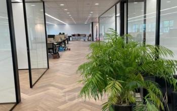 Open-plan office space with glass partitions and wooden flooring at Johan de Wittlaan 3-7, The Hague Statenkwartier, available for office space rental.