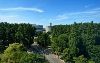 groene omgeving den haag