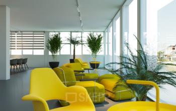 Bright and airy office space at Weesperstraat 118 in Diemen featuring modern yellow furniture, large windows, and green plants, suitable for office space rental.