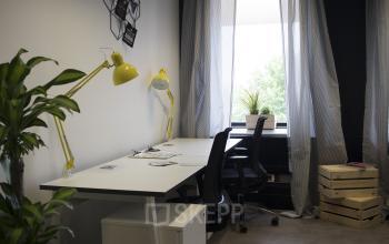 Arbeitsplatz mit ergonomischen Stühlen und Zimmerpflanze