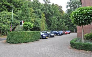 groene omgeving