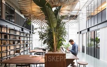 Arbeitsplatz in großem Raum mit tollem Ambiente und Bepflanzung