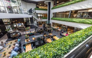 Open-plan workspace at Eindhoven Airport's Luchthavenweg 81, featuring people collaborating at shared tables surrounded by greenery.