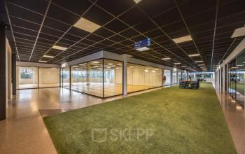 Bright office space in Eindhoven Airport with glass walls, surrounded by green flooring, available for rent.
