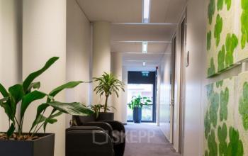 Modern hallway at Luchthavenweg 55, Eindhoven Airport with contemporary green artwork and indoor plants, connecting offices.