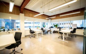Spacious and well-lit office space rental at Bogert 1, Eindhoven Center, with modern desks and ample natural light.