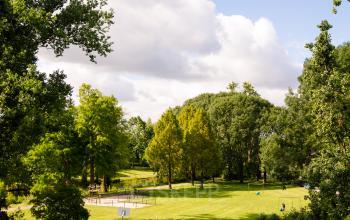Beautiful green park adjacent to Weegschaalstraat 3, Eindhoven North, with lush trees and open grassy areas, perfect for relaxing walks during office breaks.